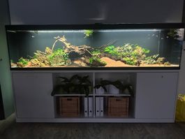 Acquario 800L con mobile fatti su misura