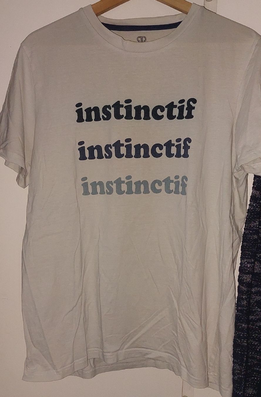 La Redoute Lotti di vestiti: SET L PULLOVER L+T-SHIRT L COLLECTION PRIVÉ BON ÉTAT GÉNÉRAL – Usato da Orpund venduto da Biennerome 2