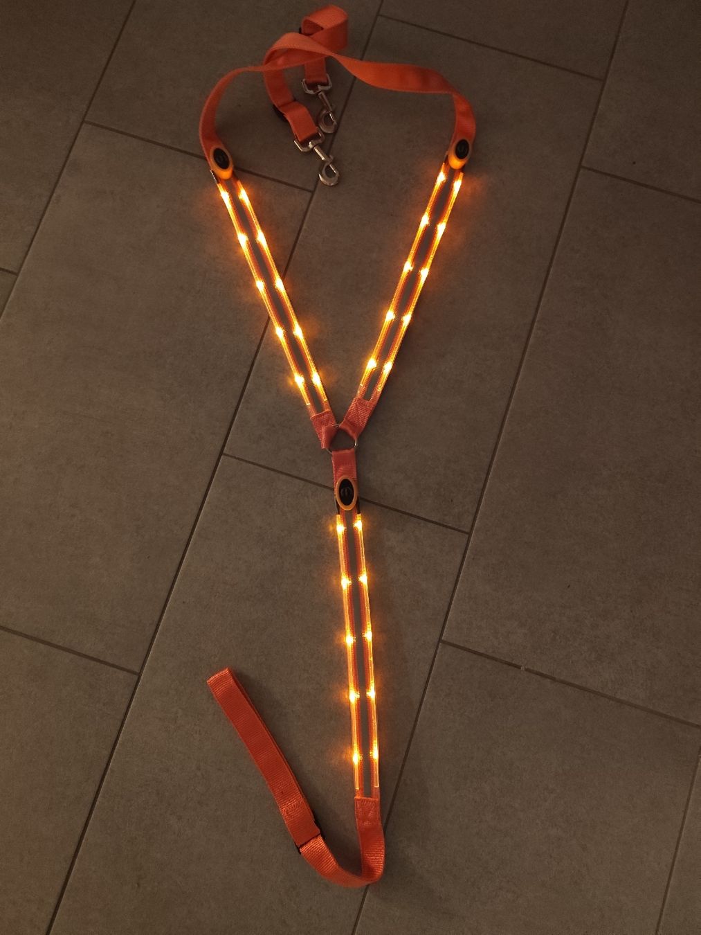 Briglie & Cavezze: NEUEES LED Vorgschirr Full – Nuovo (secondo la descrizione) da Kerzers venduto da sb_12