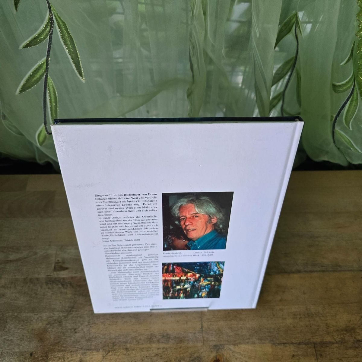 Libri: Erwin Schürch Ausstellungskatalog – Usato da Merlischachen venduto da Sheavy 4