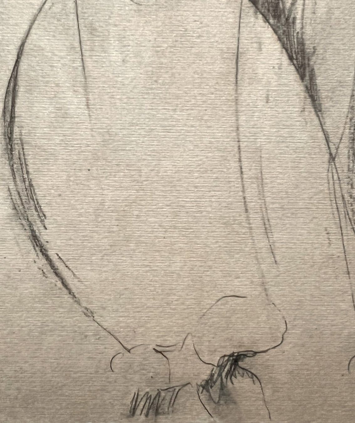 Grafica & Litografie: Amedeo Modigliani - Lithografie in limitierter Auflage – Usato da Ponte Tresa venduto da 11GalleriaAlterEgo11 5