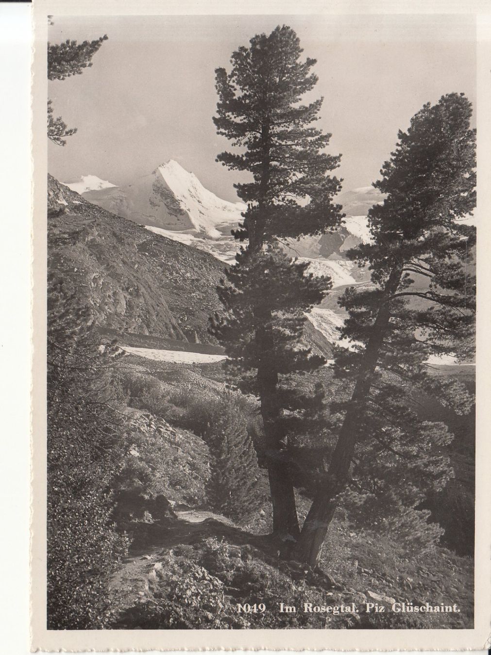Ansichtskarten: Rosegtal Piz Glüschaint 1950 – Gebraucht aus Bürglen TG von StampGraf