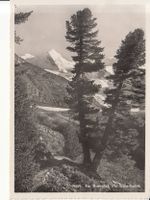 Rosegtal Piz Glüschaint 1950