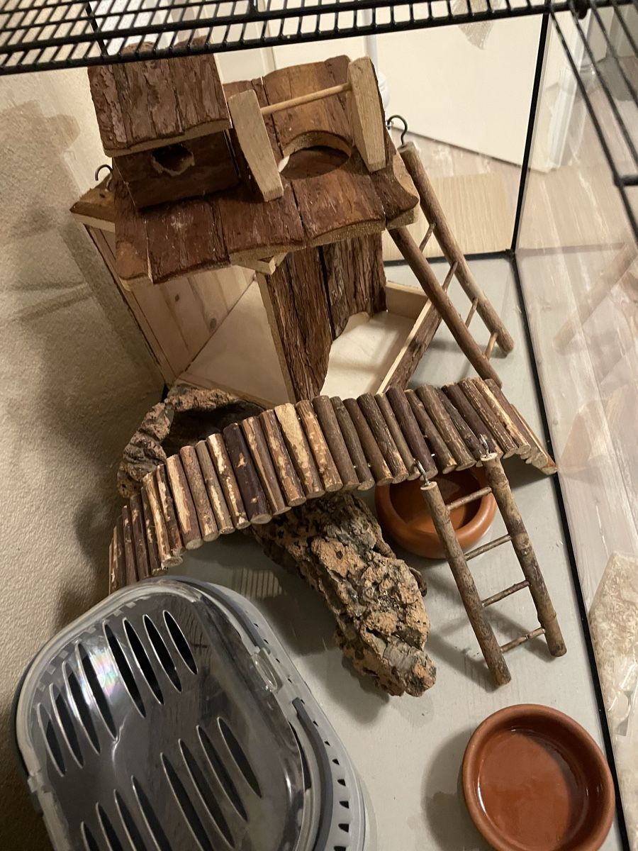 Terrarium: Grosses Nager Terrarium – Gebraucht aus Weiningen ZH von romimast 2