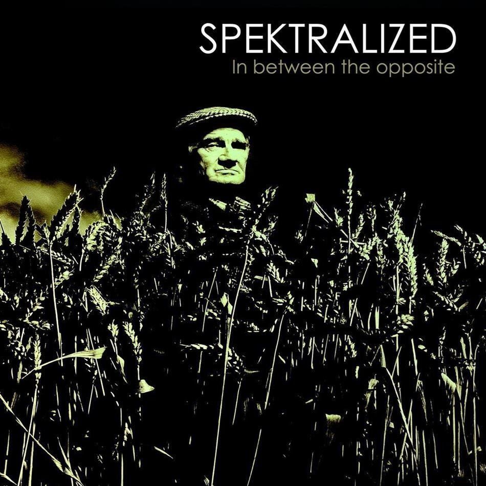 CD: Spektralized - In Between The Opposite – Usato da Uzwil venduto da visions77