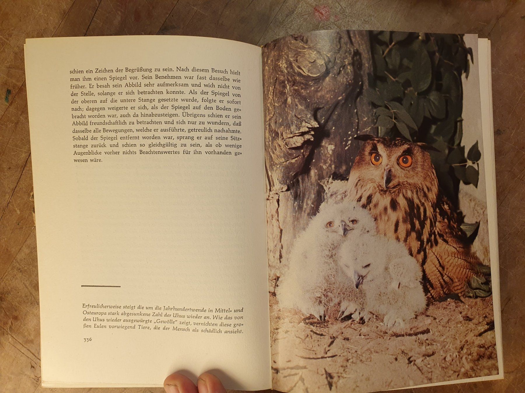 Libri: Brehms schönste Tiergeschichten – Usato da Zürich venduto da loosebone 9