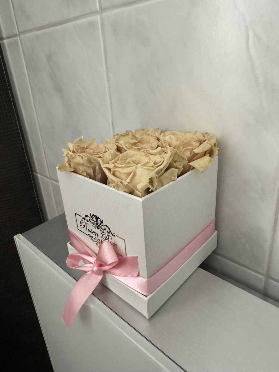 Plantes & graines: Rosenbox mit echten rosa Rosen – Neuf (Voir description) à Bremgarten AG par val_ch 2