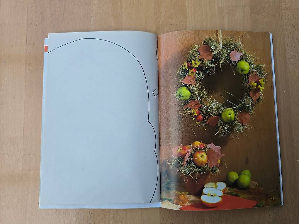 Livres: Herbstlich dekorieren, Neu – Neuf (Voir description) à Knutwil par Geschenksatelier 2