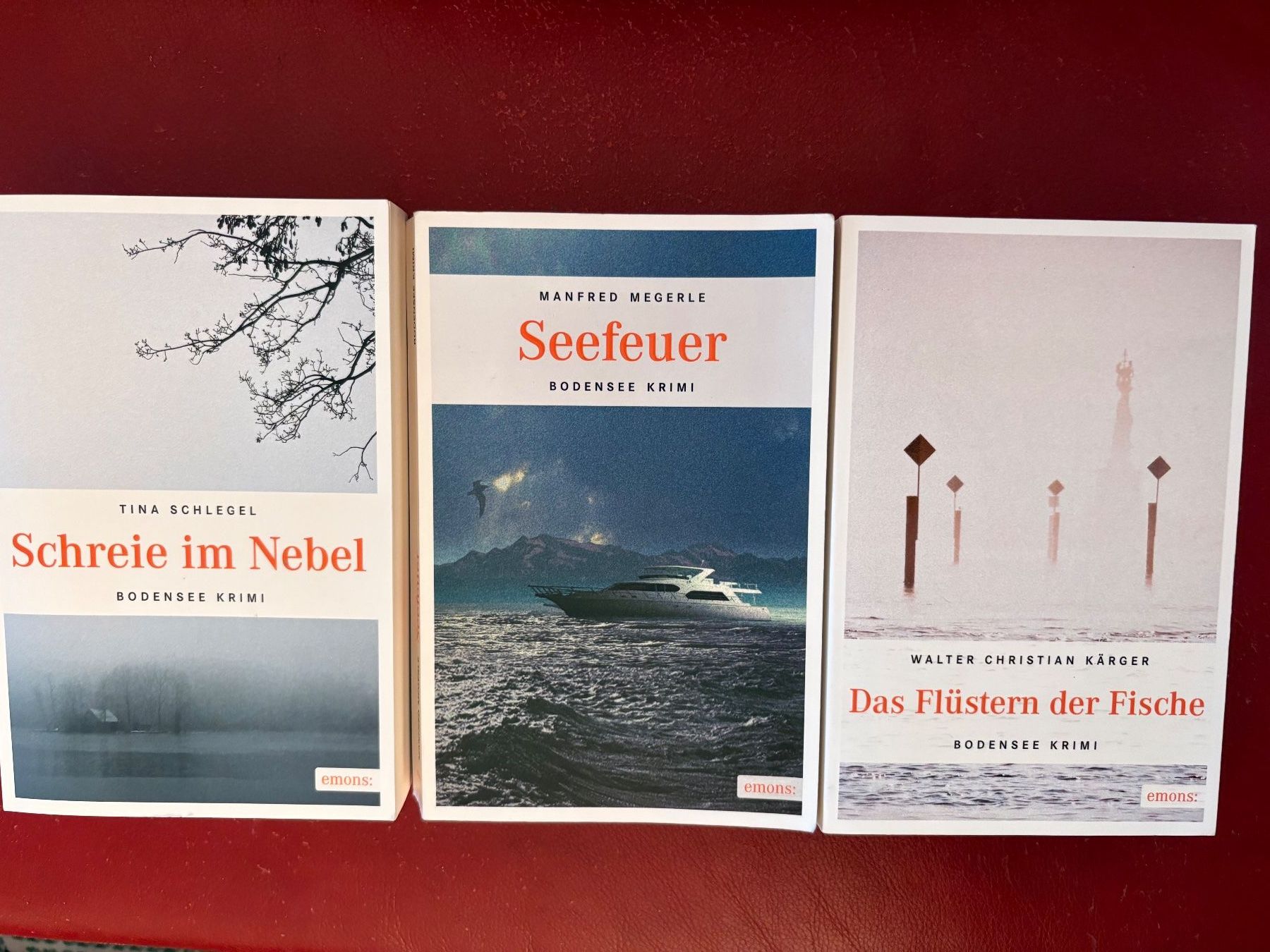 Libri: 8 Schweizer Krimis (Bodensee) – Usato da Oberweningen venduto da Gerini