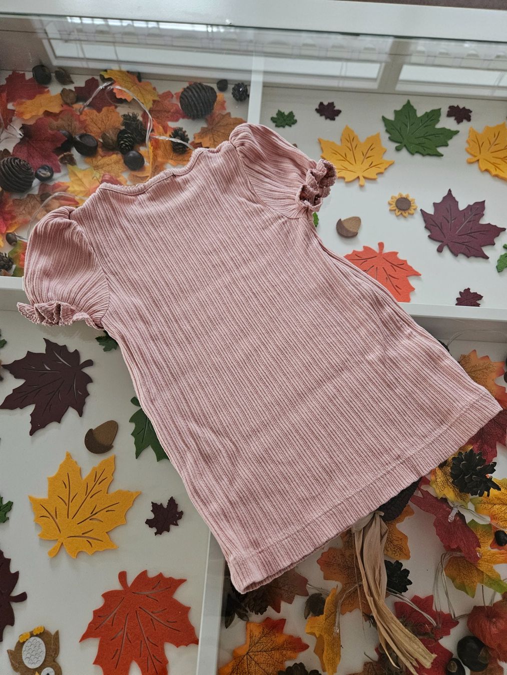 Camicette, T-shirt & Top: Newbie T-Shirt – Usato da Unterägeri venduto da Sleepbear 2