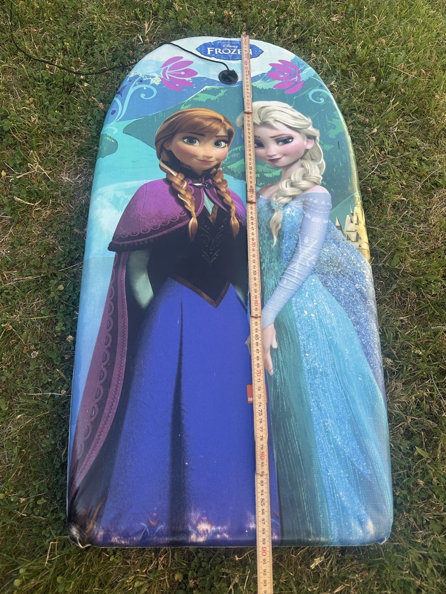 Kickboard: Frozen Kick Board  – D'occasion à Uster par bek_v2ct