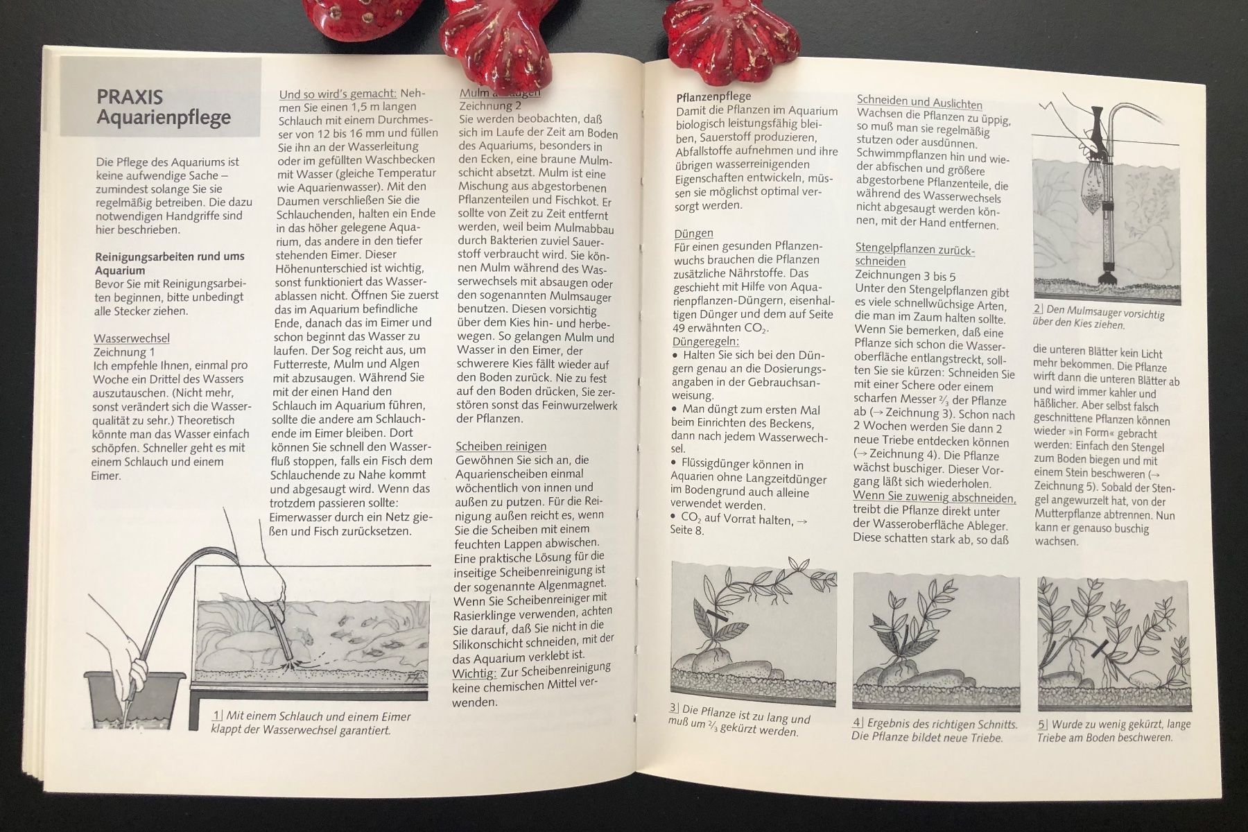 Bücher: Das Aquarium / GU RATGEBER – Gebraucht aus Nussbaumen AG von schuba2000 5