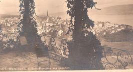 15.3.1915 Wädenswil Schlossterrasse mit Sicht auf Dorf+See