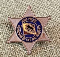 E305  Pin Bern Police Guardians of Life