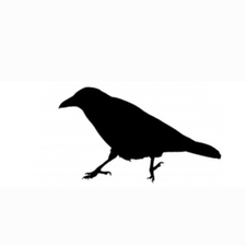 Profile image of emynmuil1