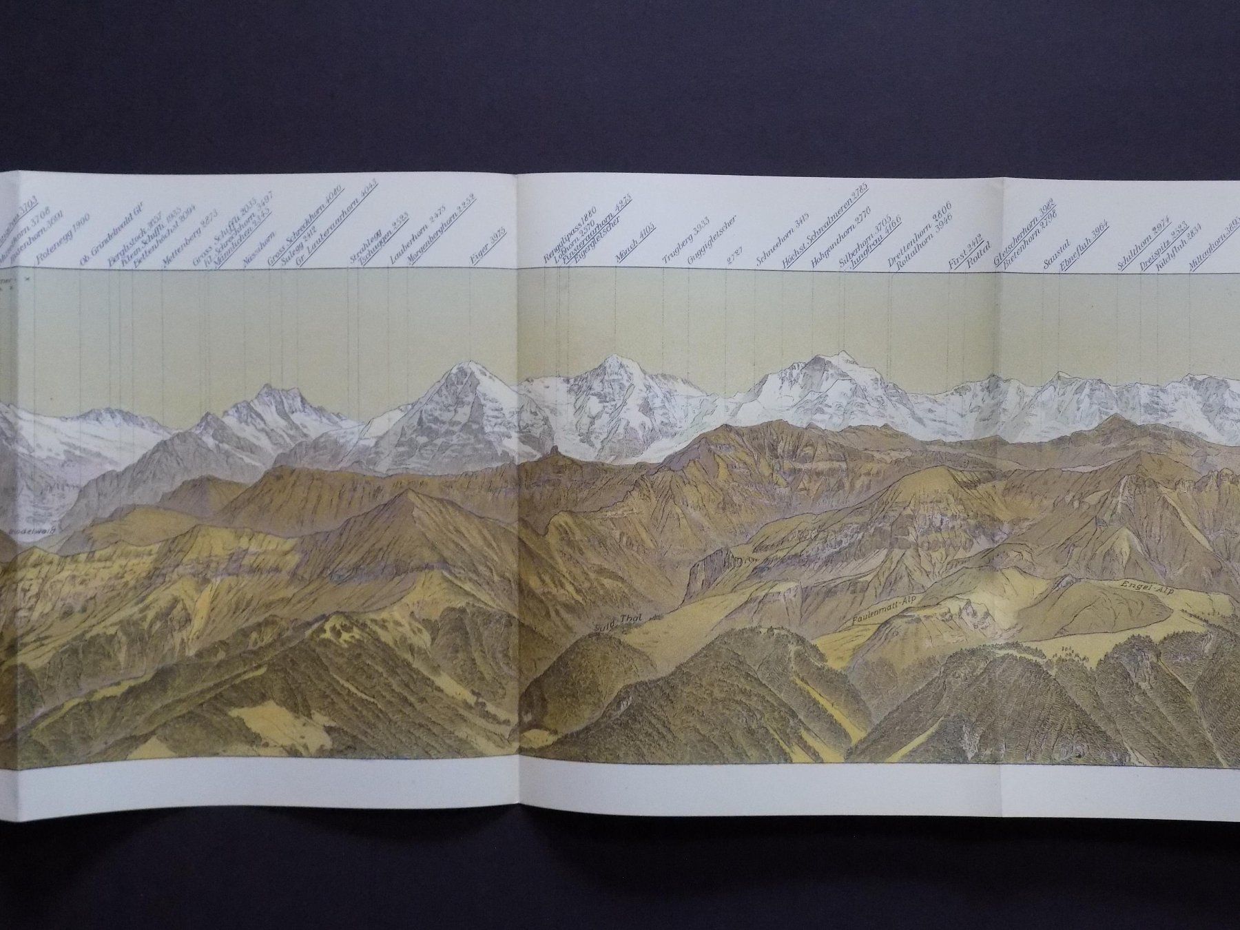 Incisioni: Panorama Niesen Berner Oberland – Usato da Risch venduto da Rischli15 2