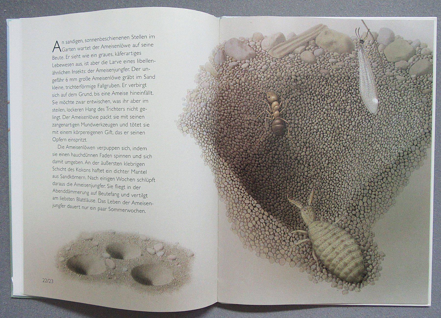 Livres: Tiere im Garten - ein Atlantis Kinderbuch – D'occasion à Auenstein par Padabimbim 6