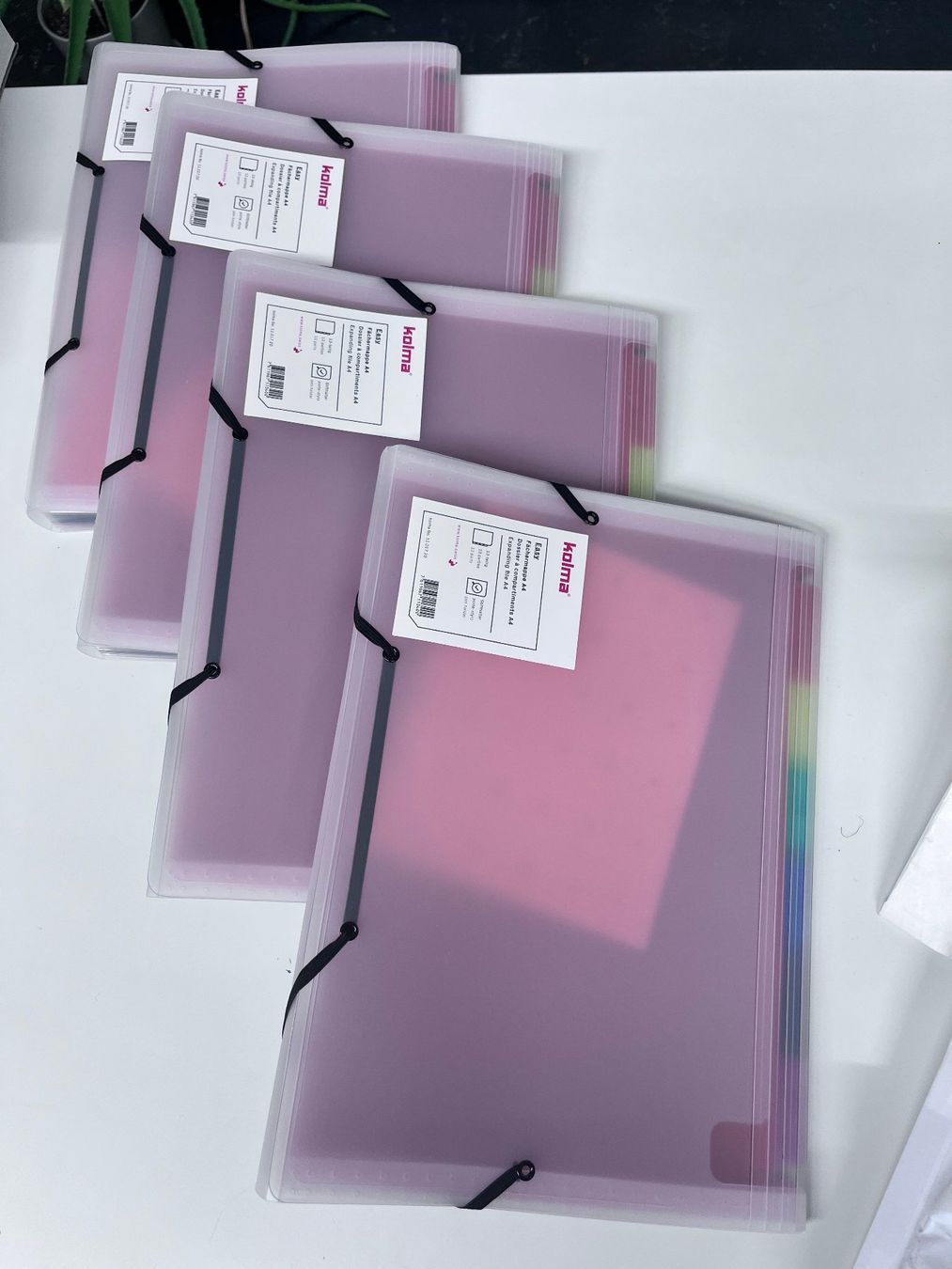 Raccoglitori: Kolma Fächermappe Easy A4 13 Fächern Rainbow – Usato da Zürich venduto da Ikle00