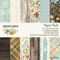 Scrapbooking Design Papier - Snow Days 24Pc