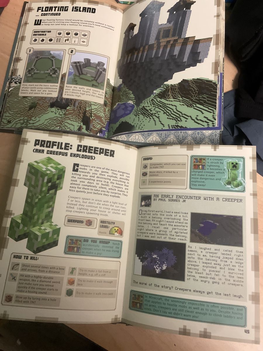 Bücher: 2 Minecraft Handbücher: Beginner und Construction Set! – Neu (gemäss Beschreibung) aus Obergerlafingen von cabo4 3