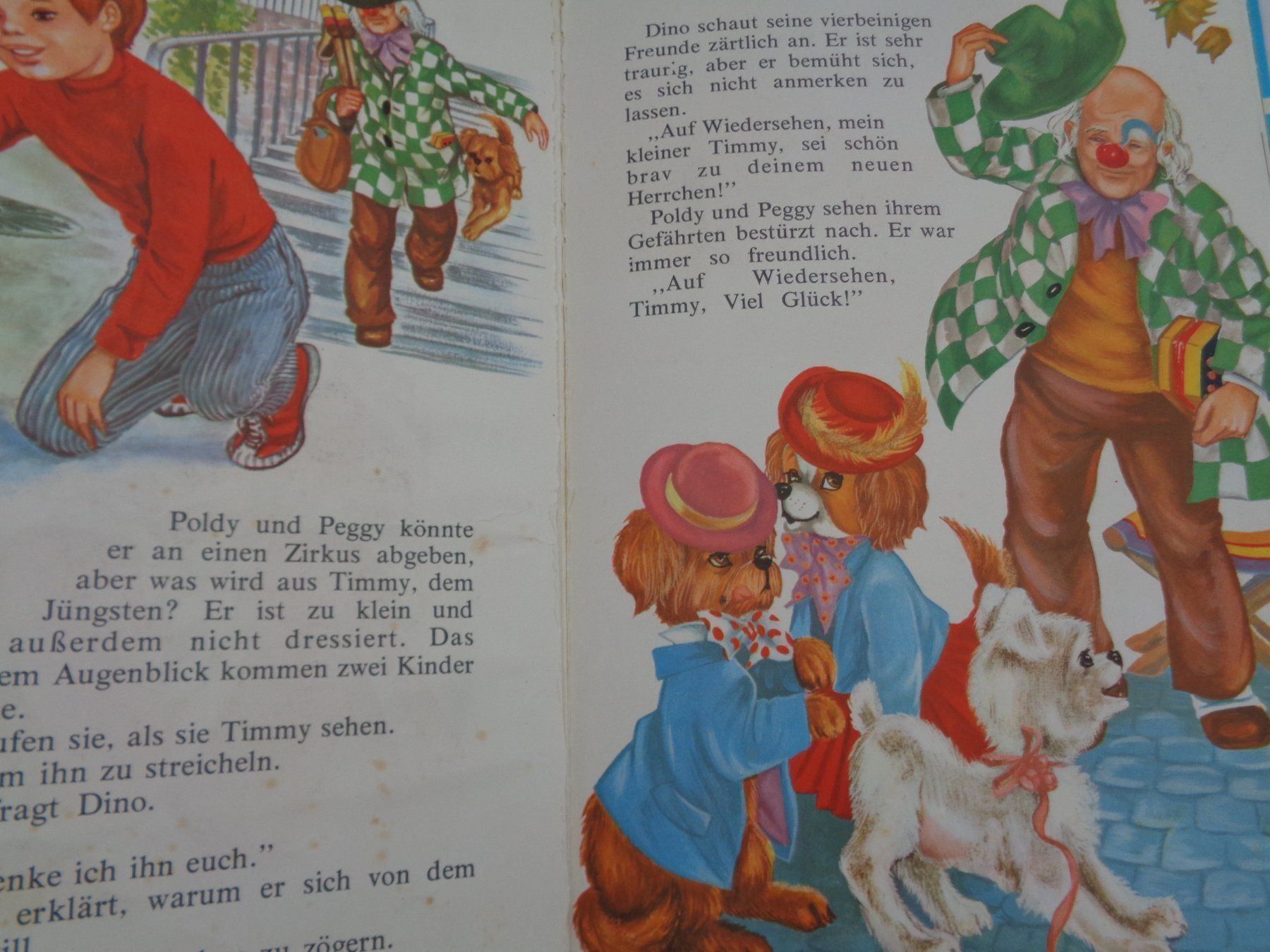 Livres: Ich bin Timmy – D'occasion à Chur par omonia 1