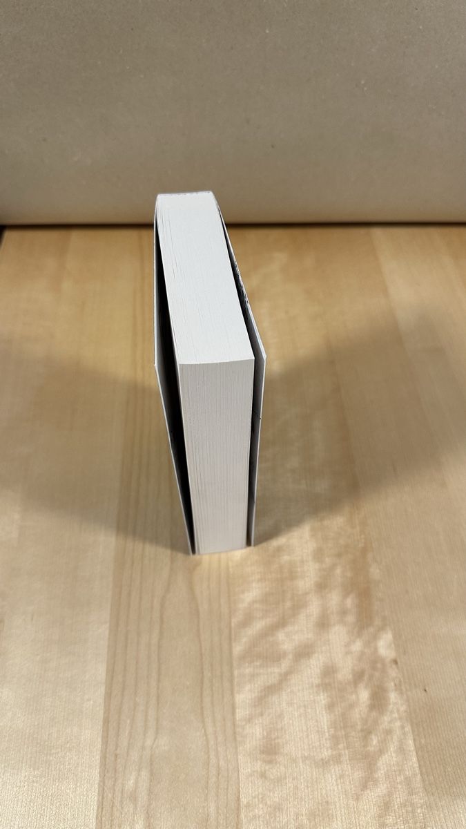 Libri: Demon Share Band 1 - B. E. Pfeiffer – Usato da Schönenwerd venduto da palaceofwords 2