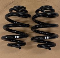 HinterachsFedern VW T5/T6/T6.1 (7H5511115N)