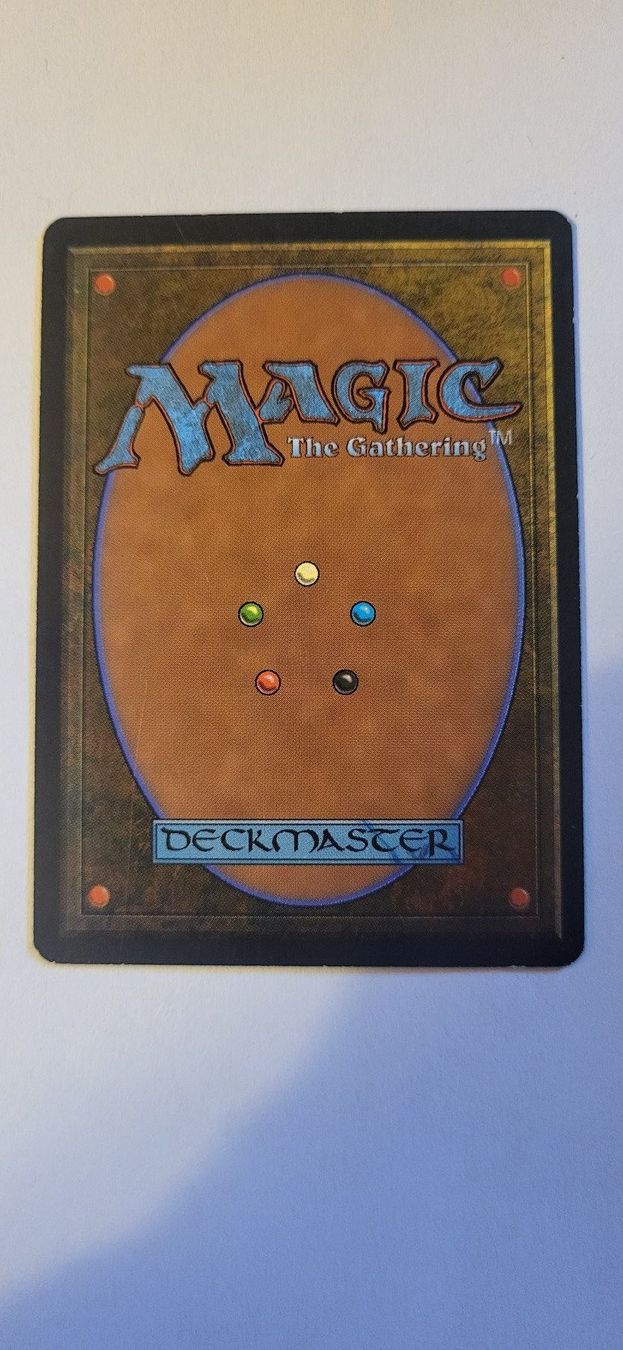 Magic The Gathering Carte collezionabili: MTG - Adarkar Wastes – Usato da Münsingen venduto da Heroism2010 1