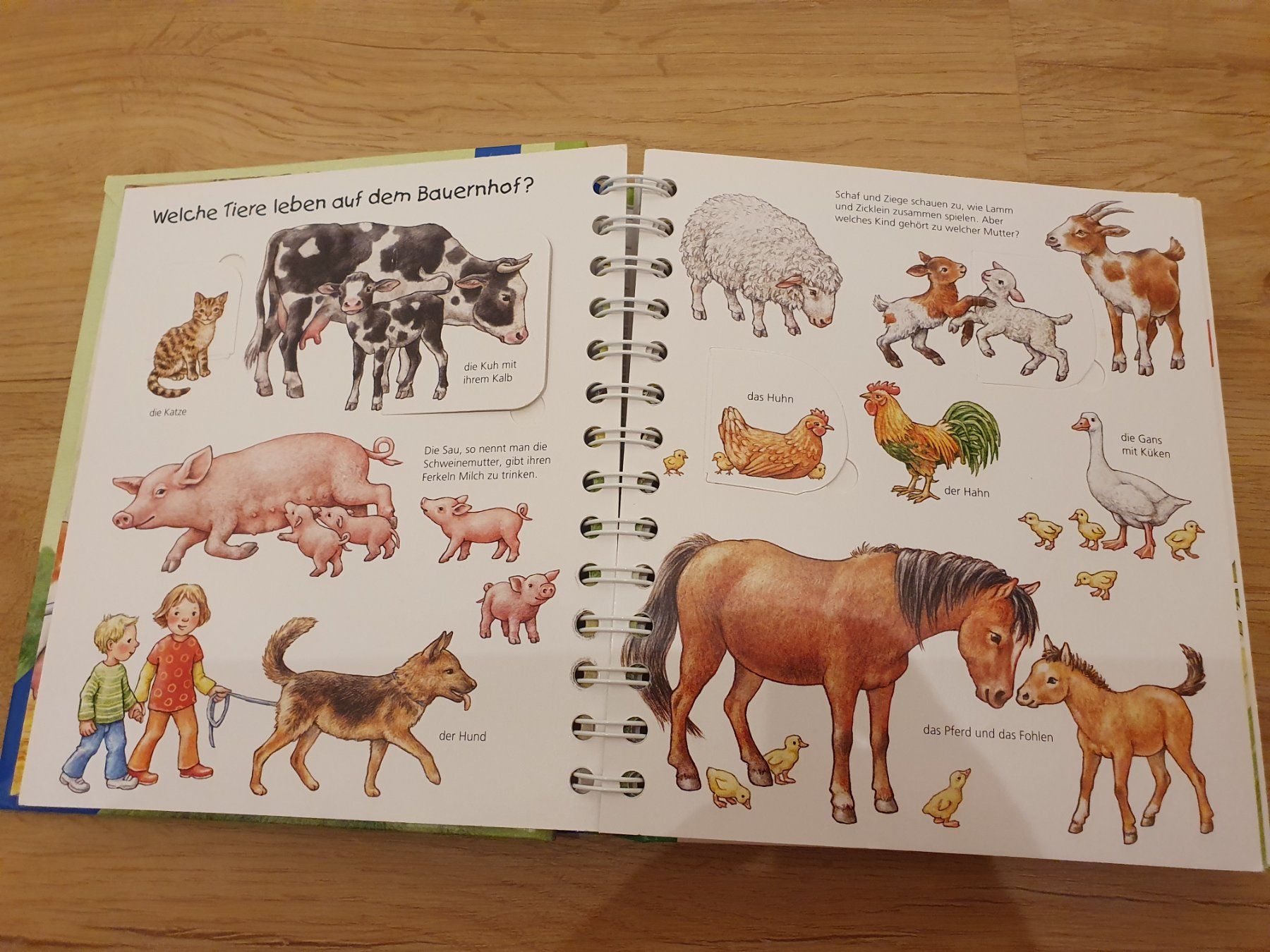 Libri: Wieso weshalb warum junior: Lexikon Tiere – Usato da Heinrichswil venduto da frankie19860 1