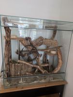 Terrarium mit Laufrad und Holzdekoration gut erhalten