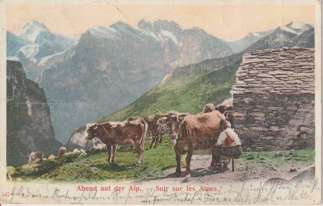 Cartoline postali: AB 155 Abend auf der Alp, 1902 – Usato da Freienbach venduto da Bhaltis
