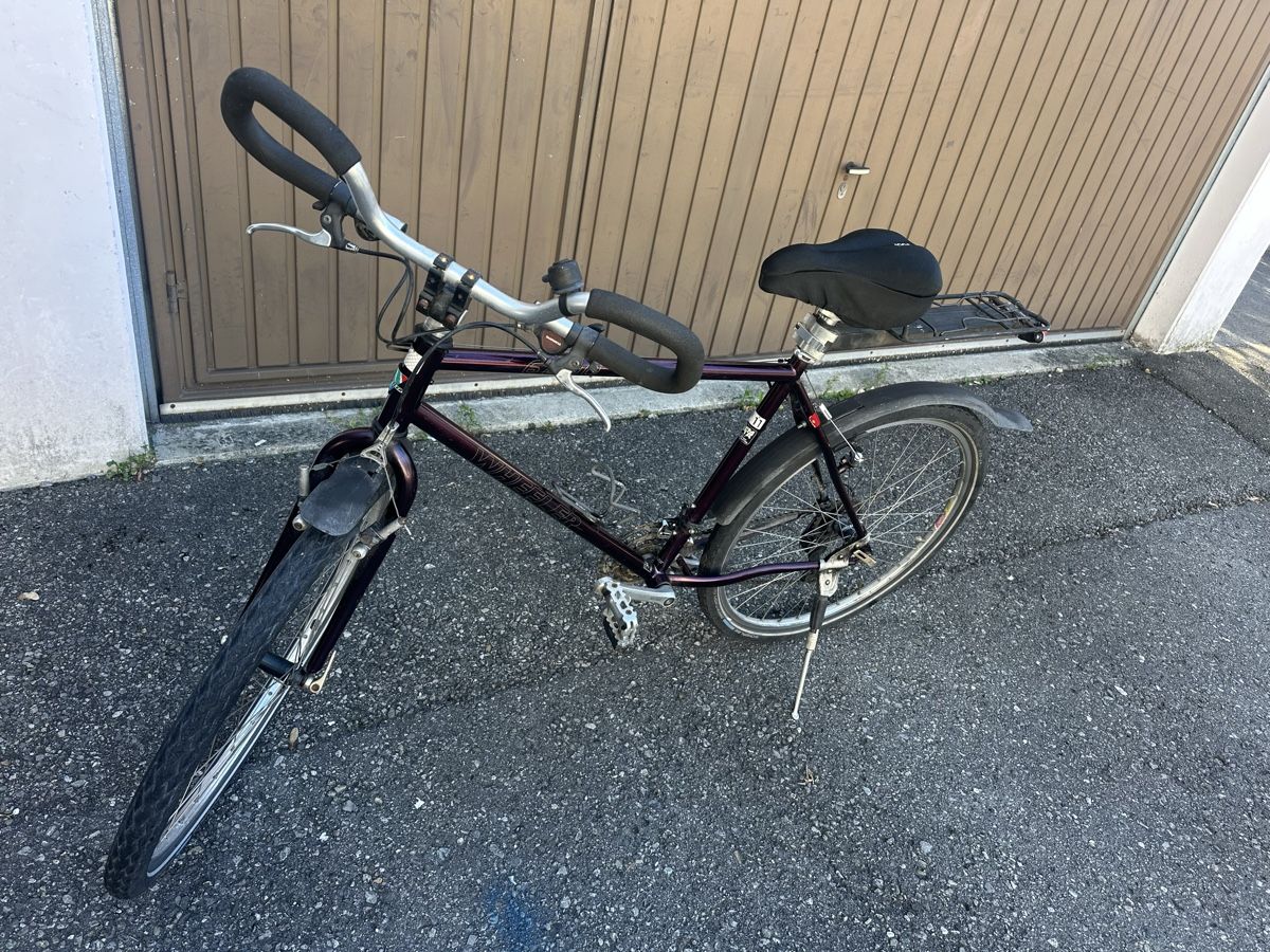 Wheeler Biciclette: Velo Wheeler 6800 – Usato da Heerbrugg venduto da sha_6bxl 4