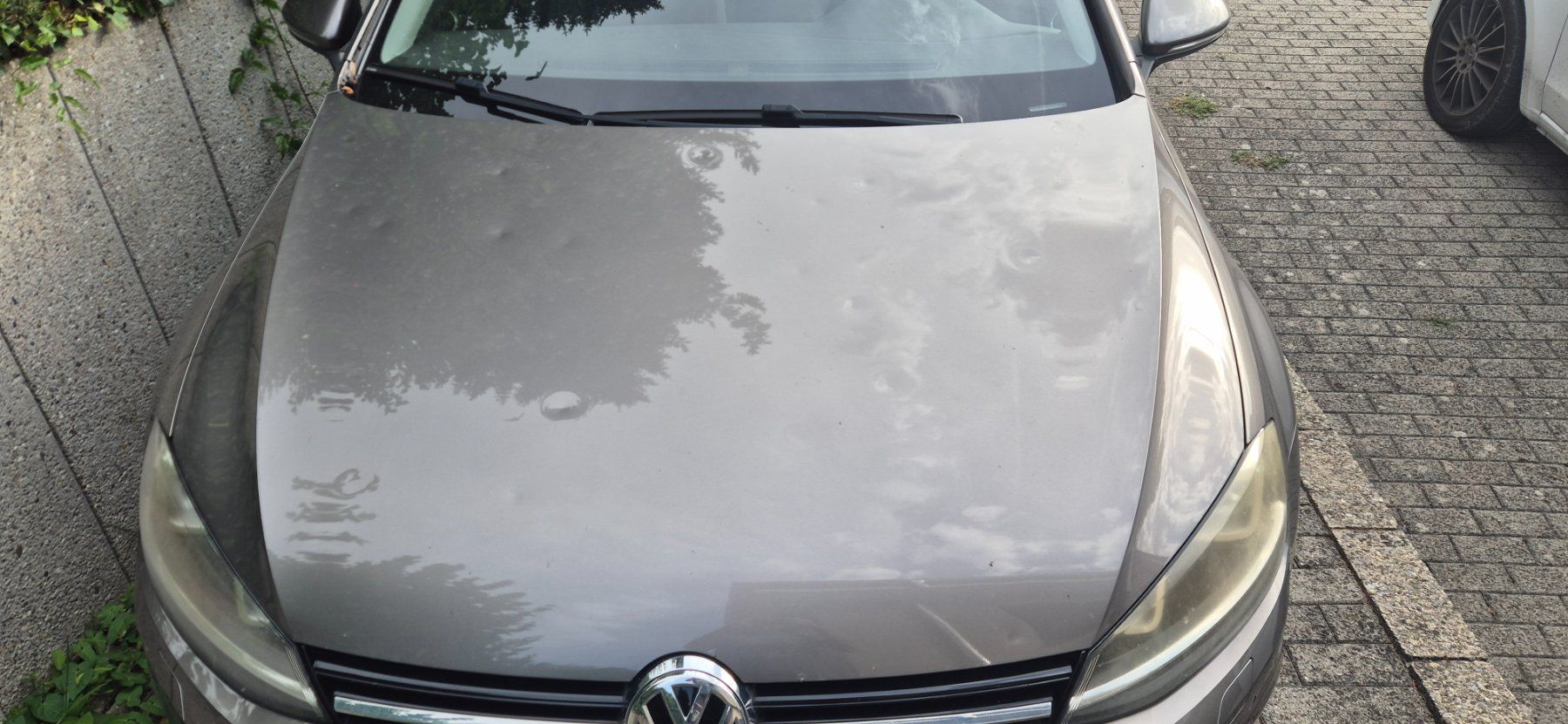 VW Autos: VW Golf VII 1.4TSI, Highline – Gebraucht aus Eich von Juciy 7