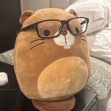 Profile image of h0pe