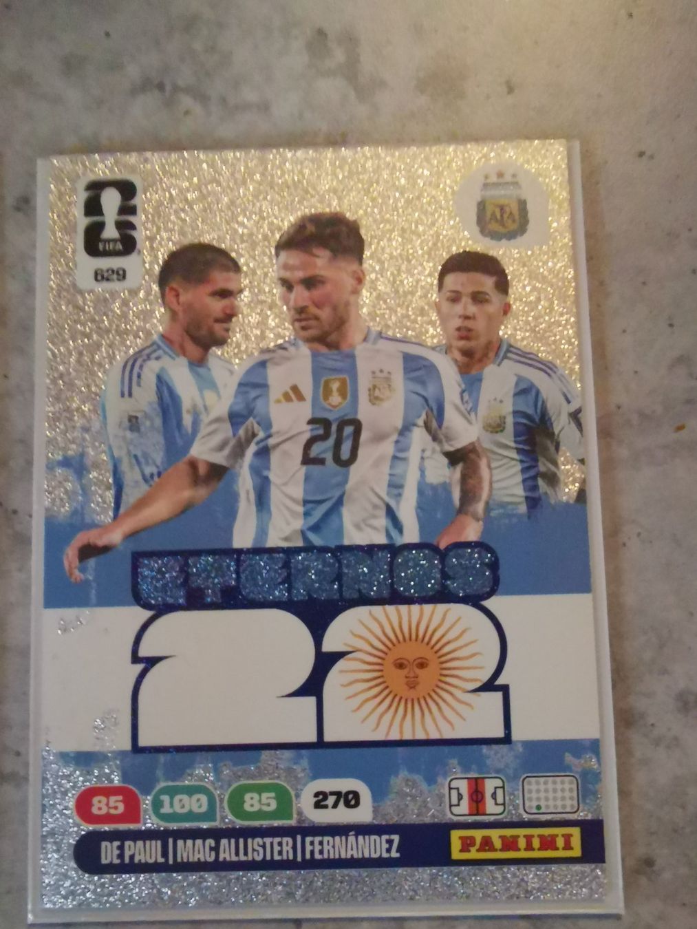 Panini Carte collezionabili: 2 Fussball WM PANINI Karten – Usato da Altnau venduto da playboy 1