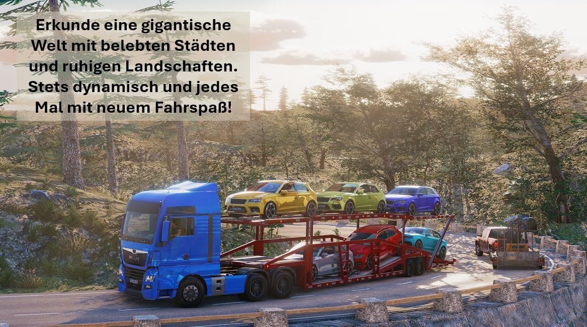 Nintendo Giochi: Truck & Logistics Simulator - Nintendo Switch 1+2 – Usato da Volketswil venduto da cinephilia 2