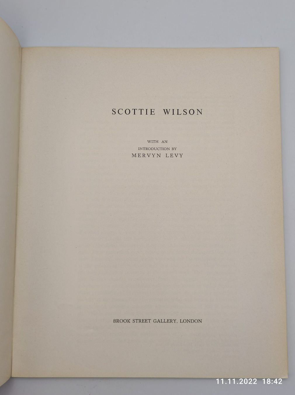 Libri: SCOTTIE WILSON – Usato da Goldach venduto da Gaip 3