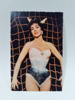 Vintage Postkarte / AK - Gina Lollobrigida
