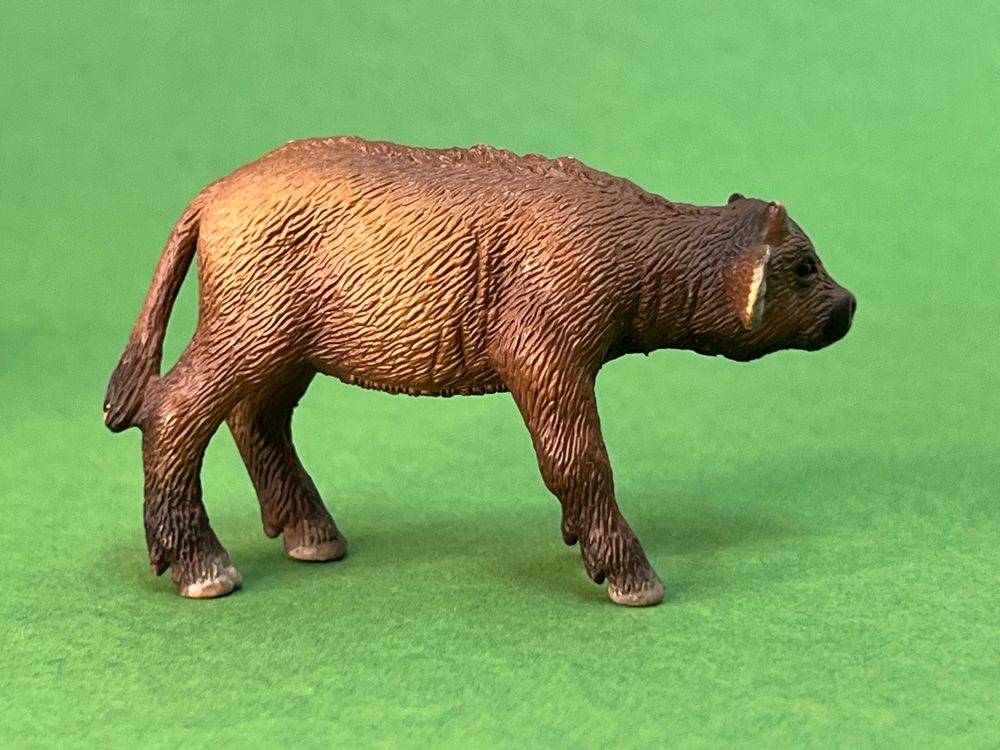 Ueqtuiof Realistic Büffel Model Dekoration,Kaffernbüffel Tierfiguren,Simulation Mini Buffalo Eco Figurine,Lernspielzeug,Wildlife-Kollektion,Naturgetreu Und Sehr Detailliert Tolles Geschenk Für Jungen