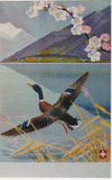 FERIEN IN DER SCHWEIZ SEE & ENTE 1945 - Original Plakat