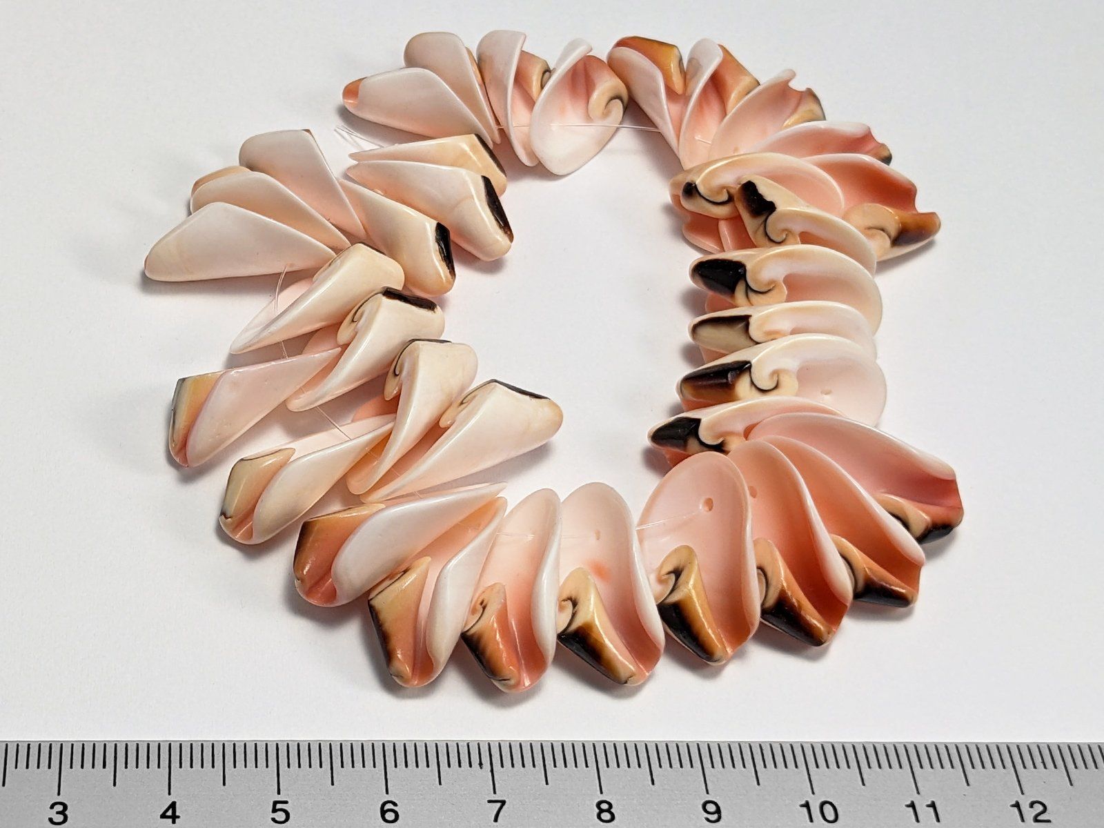 Minéraux & Lithothérapie: Wunderschöne Muschelperlen 18 bis 24mm, 35Stk. – Neuf avec emballage d'origine à Meilen par GypsyCat