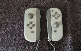 Joy-Con Paar (grau)