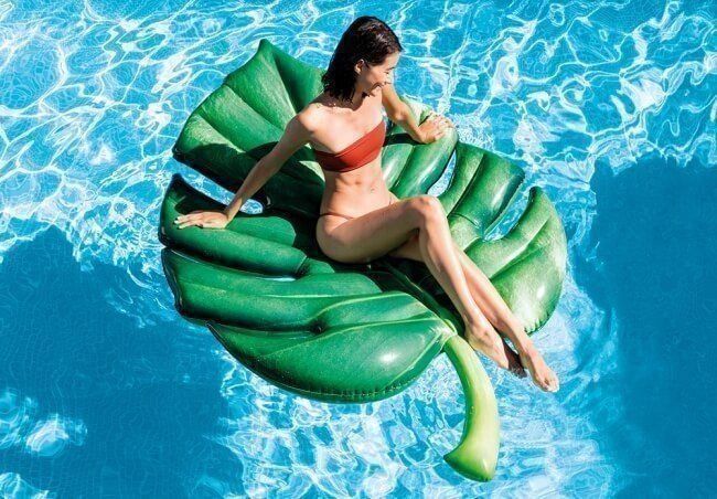Salvagente: INTEX Palmenblatt Luftmatratze – Nuovo e nell'imballaggio originale da Seuzach venduto da VT-Collections2