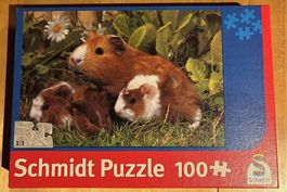 Schmidt Puzzle