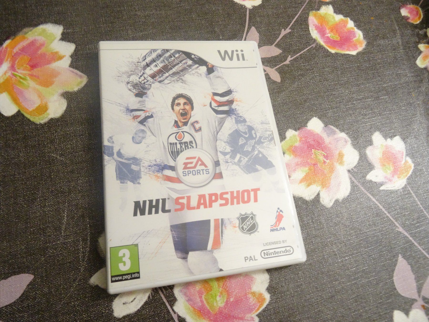 Nintendo Giochi: NHL Slapshot WII – Usato da Olten venduto da Disc-Ausverkauf 1