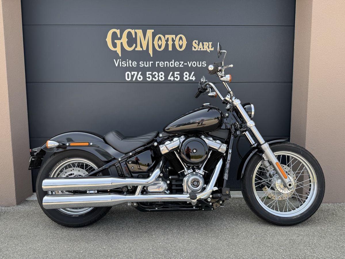 Harley-Davidson Chopper: Harley Davidson FXST 107 Softail Standard LEASING POSSIBLE – Usato da Echallens venduto da HD90