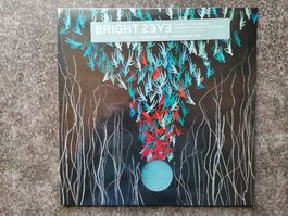 Bright Eyes – Down In The Weeds... LP