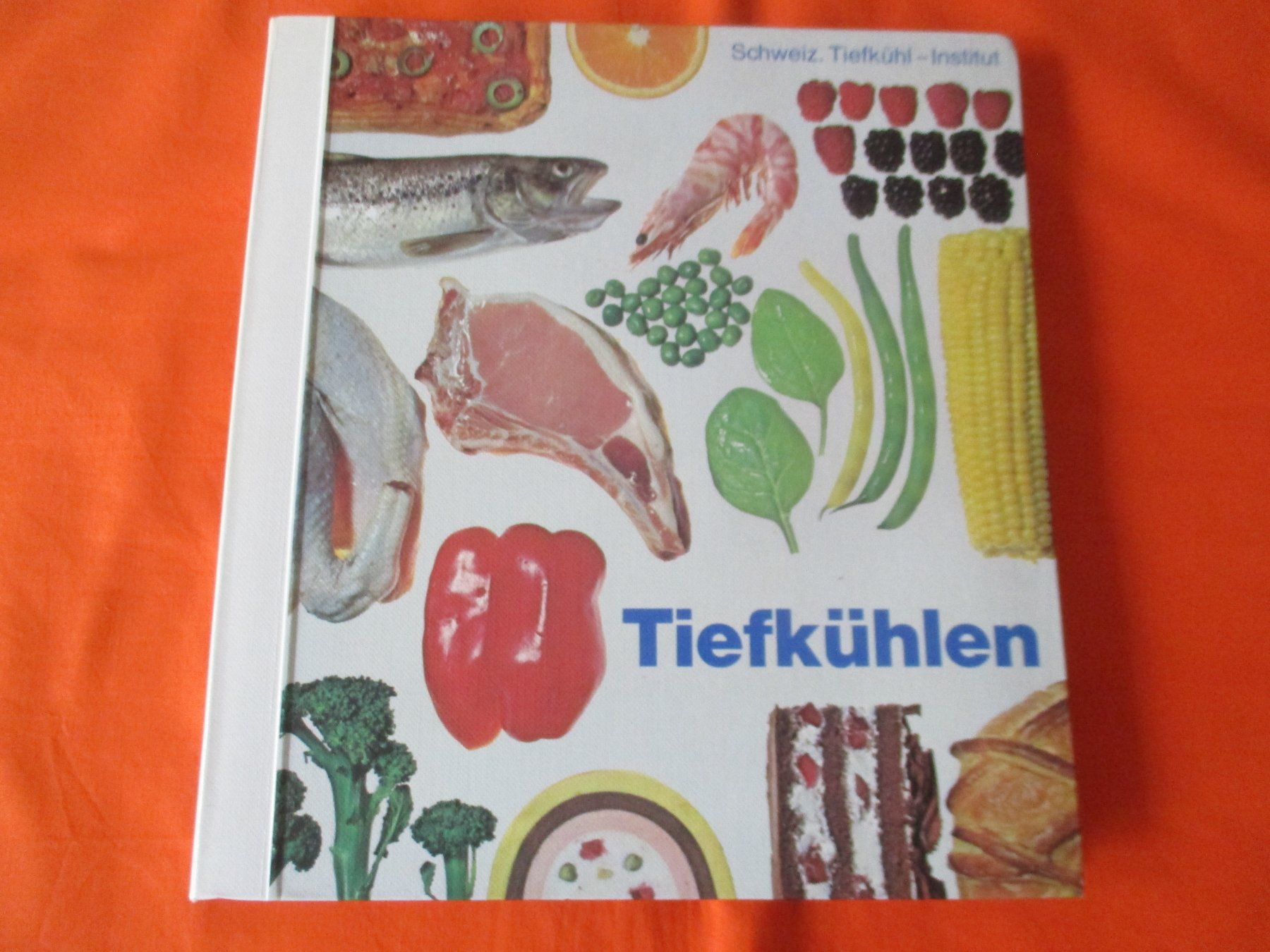Libri: Kochbuch Tiefkühlen, 1975 – Usato da Birsfelden venduto da alles-muss-raus