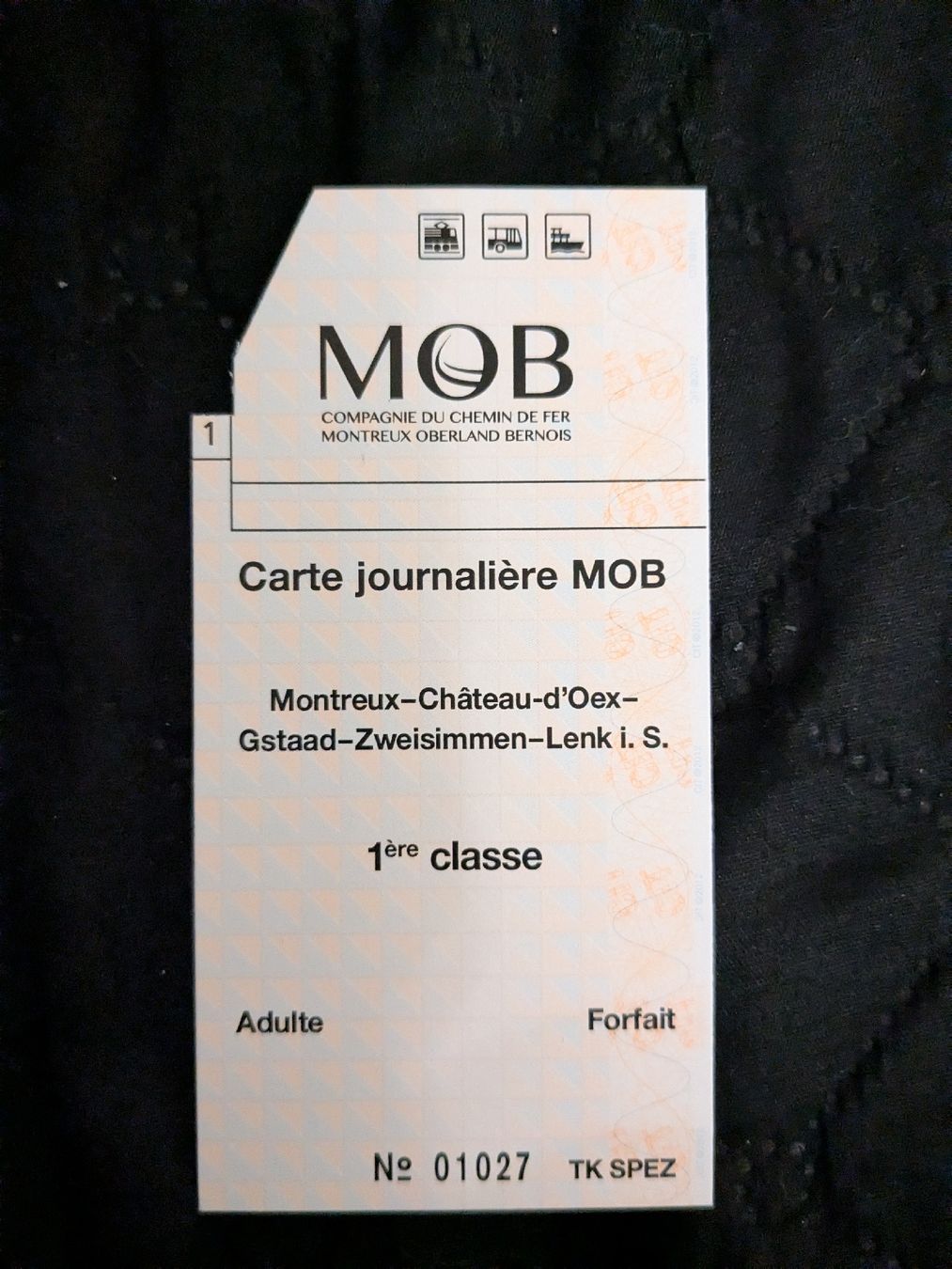 Biglietti: MOB Tageskarte 1. Klasse – Nuovo (secondo la descrizione) da Dürnten venduto da Ahildi81