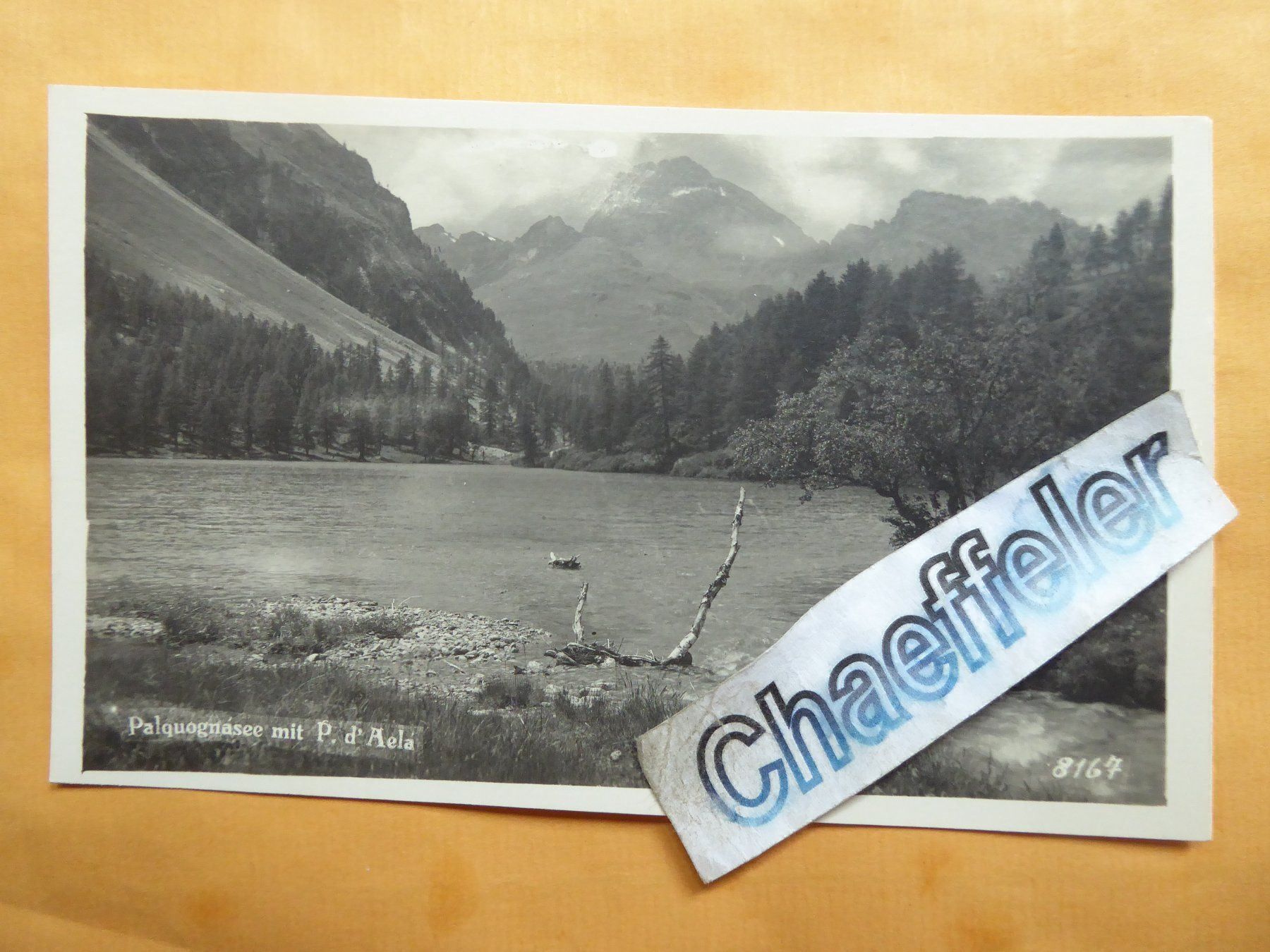 Cartes postales: Palquognasee mit P. `Aela – D'occasion à Zürich par Chaeffeler